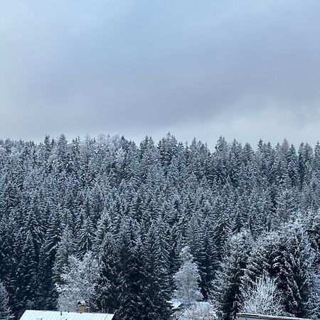 Penzion Verde Rosa Harrachov Exterior photo