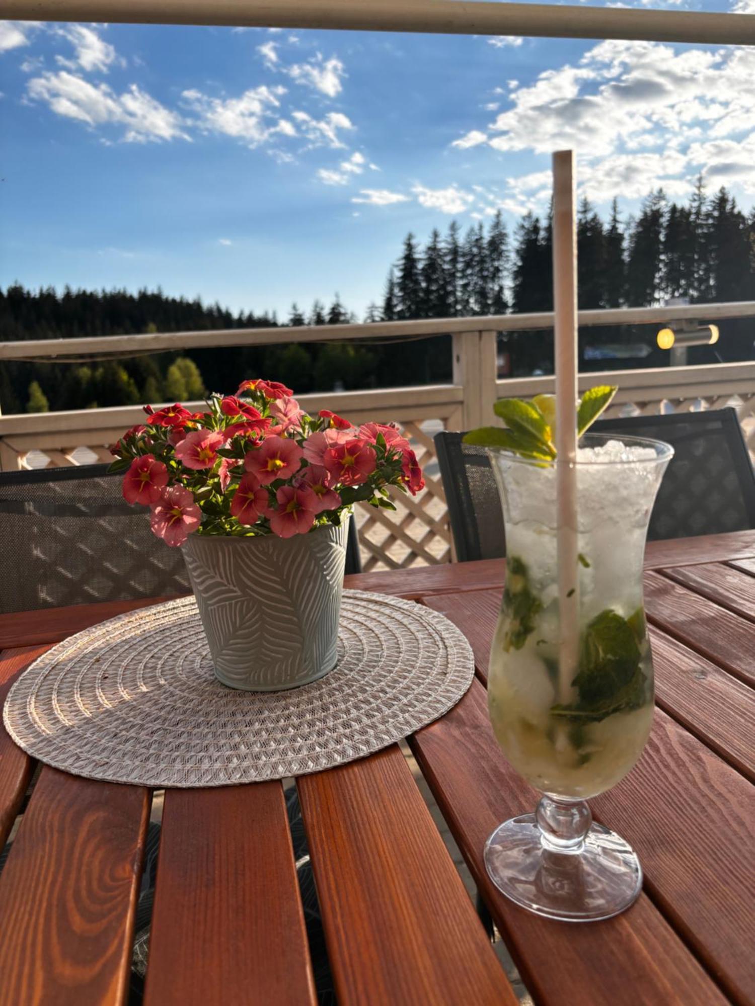 Penzion Verde Rosa Harrachov Exterior photo