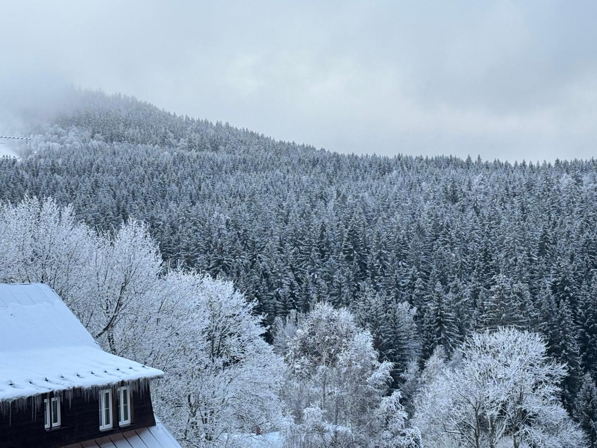 Penzion Verde Rosa Harrachov Exterior photo